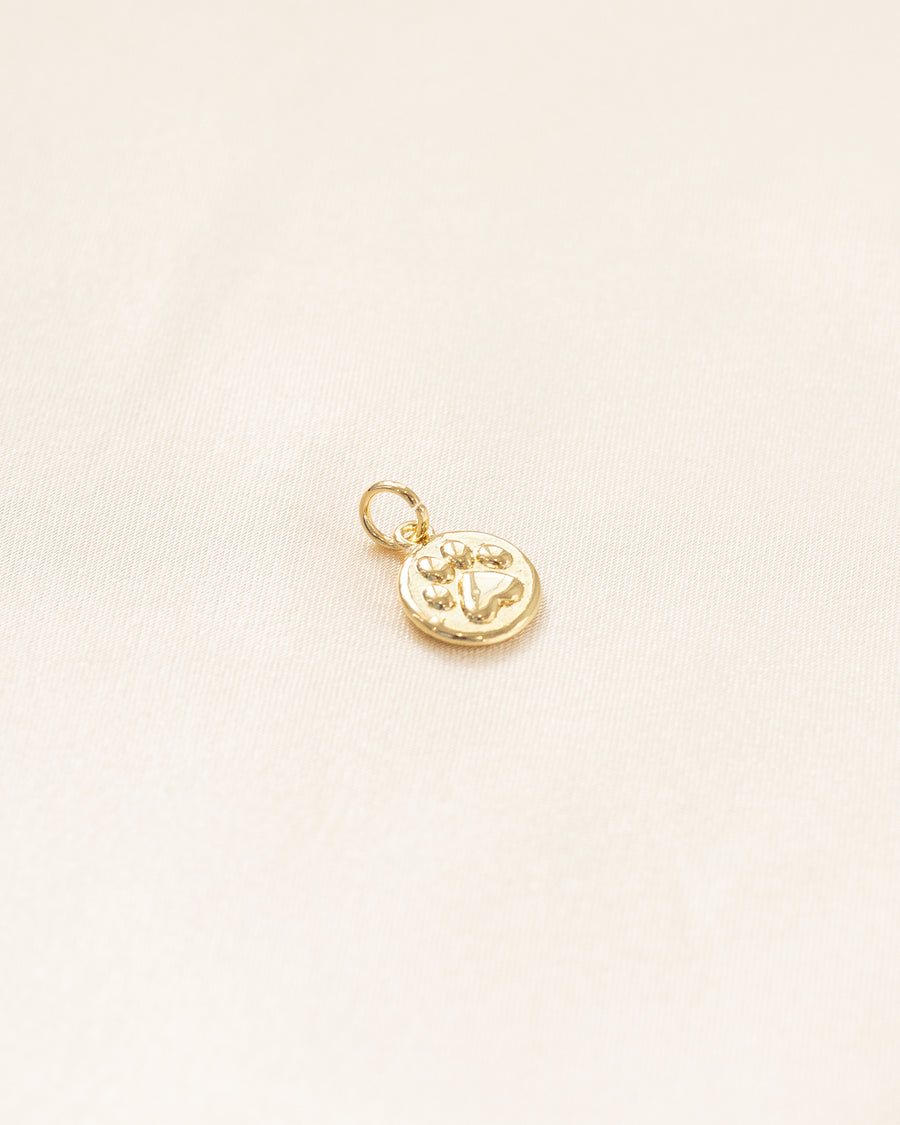 Paw Charm