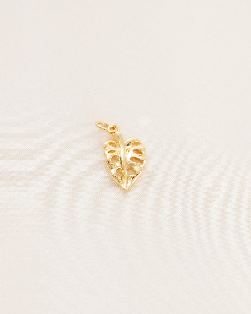 Plant Charm