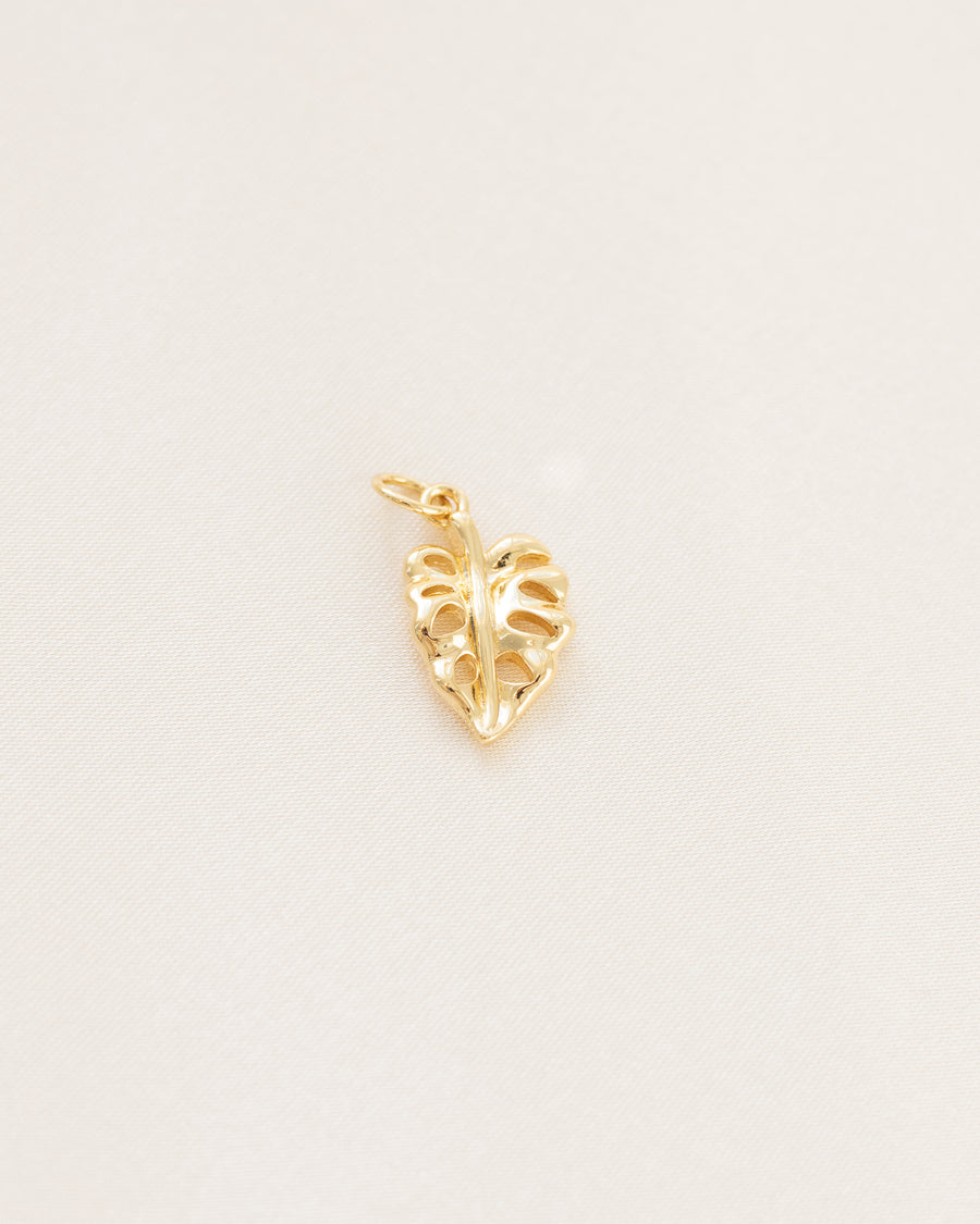 Plant Charm