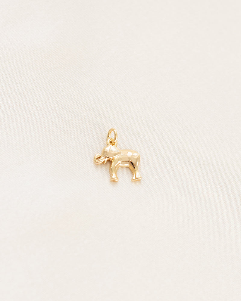 Elephant charm