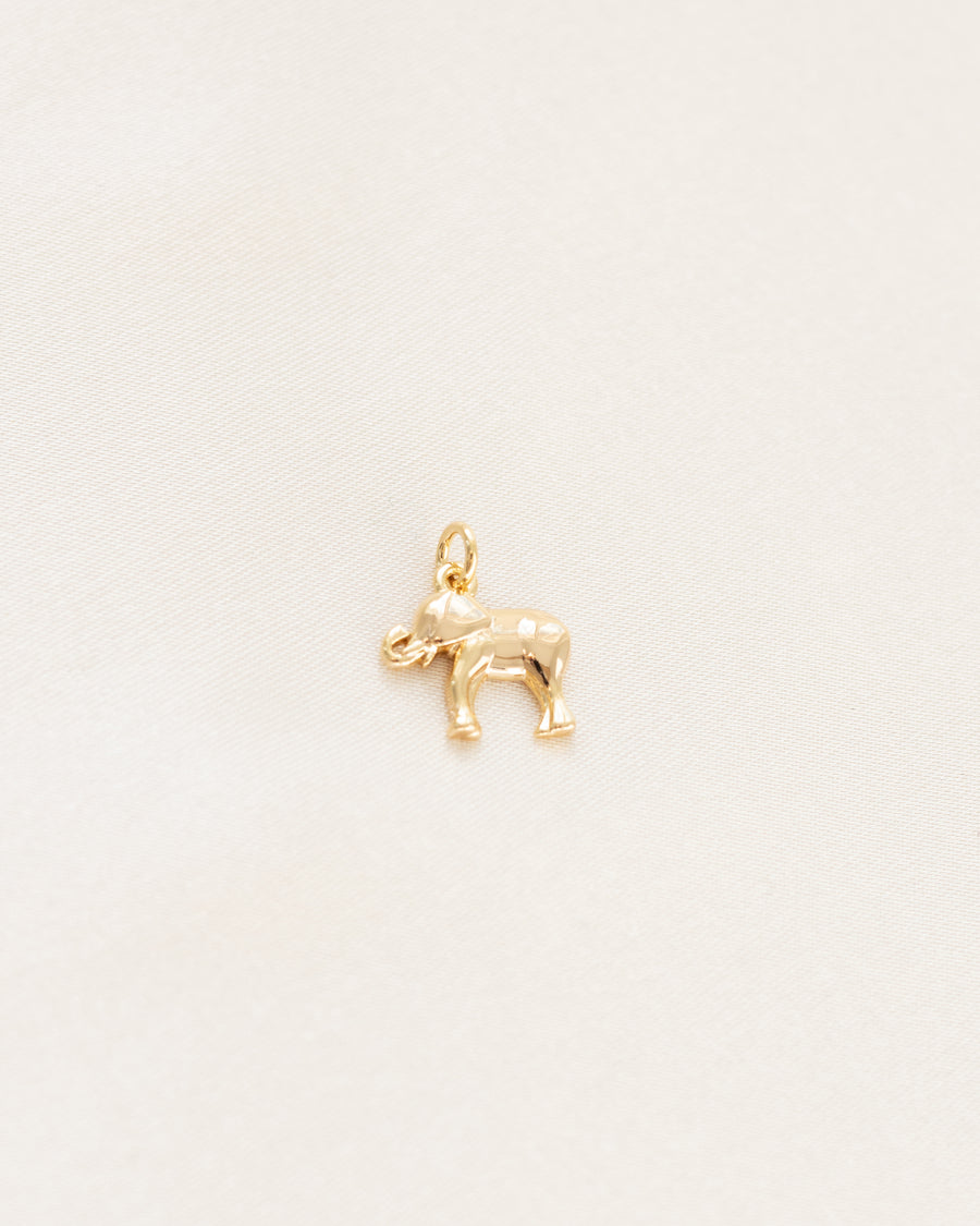 Elephant charm