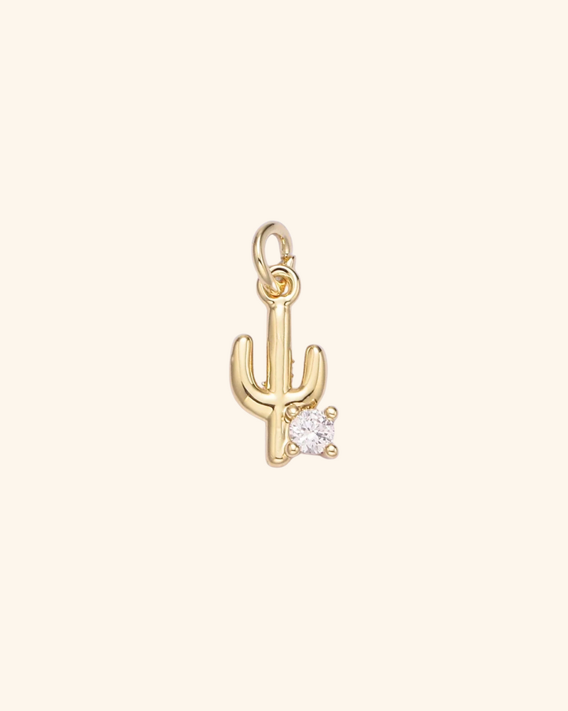 Cactus Charm